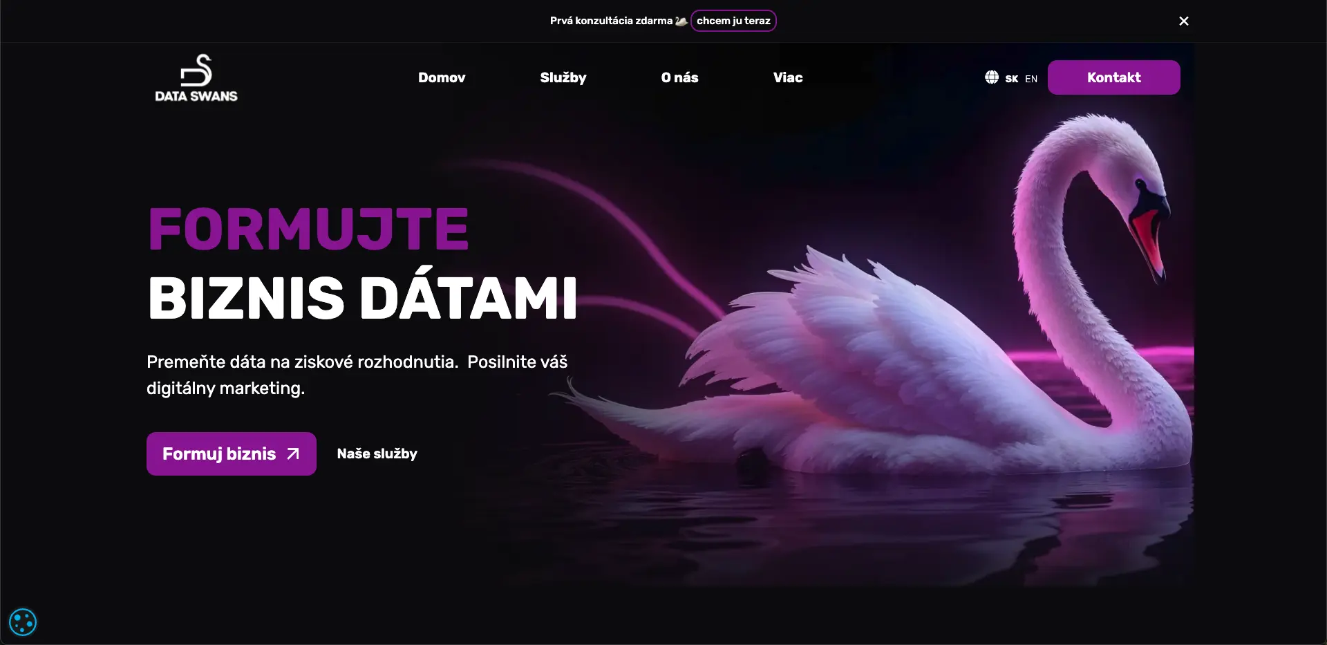 dataswans website screenshot